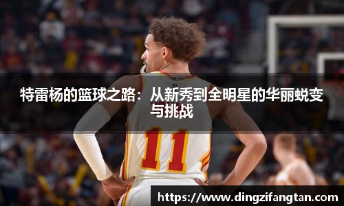 特雷杨的篮球之路：从新秀到全明星的华丽蜕变与挑战